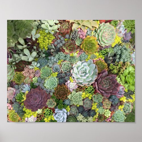 Greenery Succulents Poster