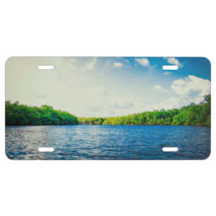 Greenery Themed, Green And Dense Forest Area Aroun License Plate