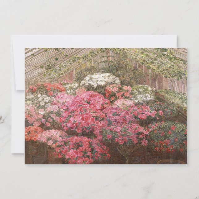 Greenhouse Azaleas | Marie Antoinette Marcotte (Front)