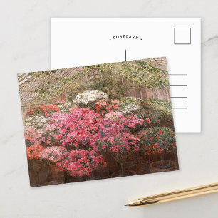Greenhouse Azaleas Marie Antoinette Marcotte Postcard