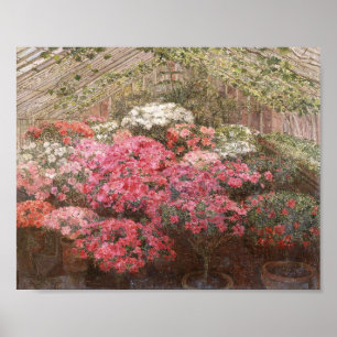 Greenhouse Azaleas Marie Antoinette Marcotte Poster