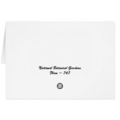 Greenhouse Flowers Five (Back Horizontal)