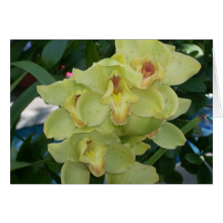 Greenhouse Flowers Four Cards