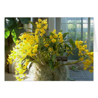 Greenhouse Flowers Two Cards