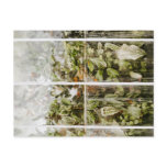 Greenhouse