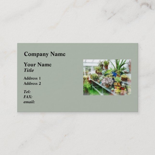 Greenhouse With Cactus Business Card (Front)