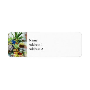 Greenhouse With Cactus Label