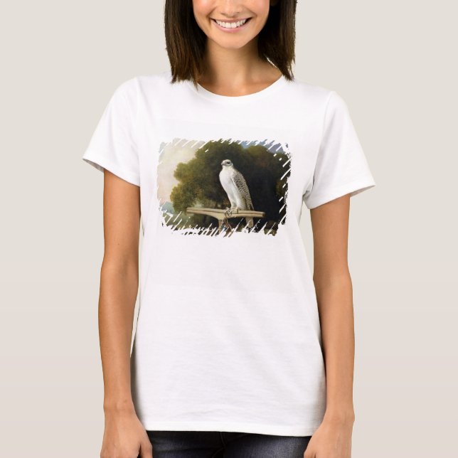 Greenland Falcon (Gray Falcon), 1780 (oil on panel T-Shirt (Front)