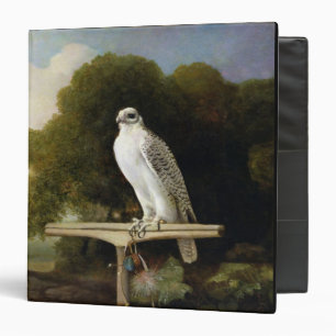 Greenland Falcon (Grey Falcon), 1780 (oil on panel Binder