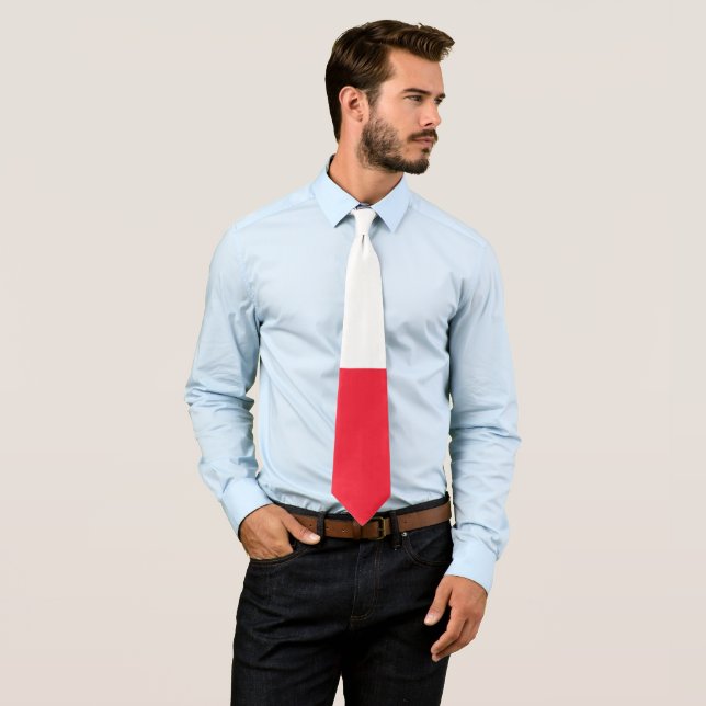 Greenland flag neck tie (In Situ)