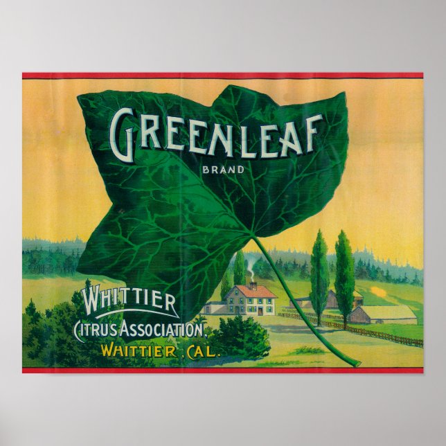 Greenleaf Lemon LabelWhittier, CA Poster (Front)