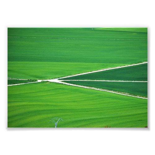 Greens Urea in Spring Photo Print