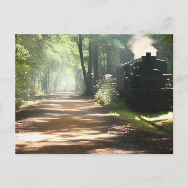 Greenville south carolina GHS Swamp Rabbit Trail   Postcard (Front)