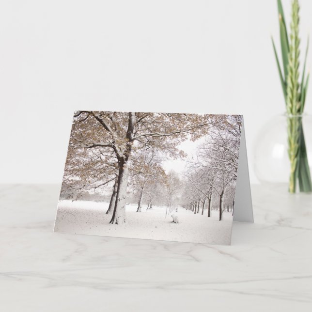 Greenwich Park in winter Holiday Card (Front)
