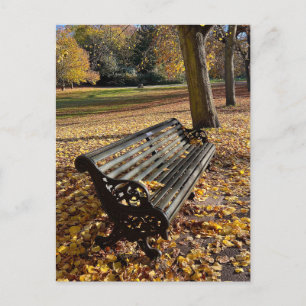 Greenwich park, London UK Postcard