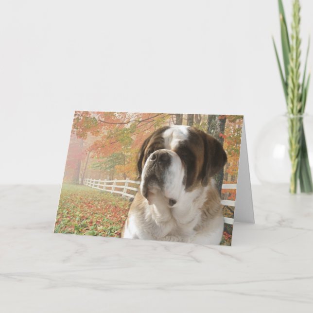 Greeting Card (Front)