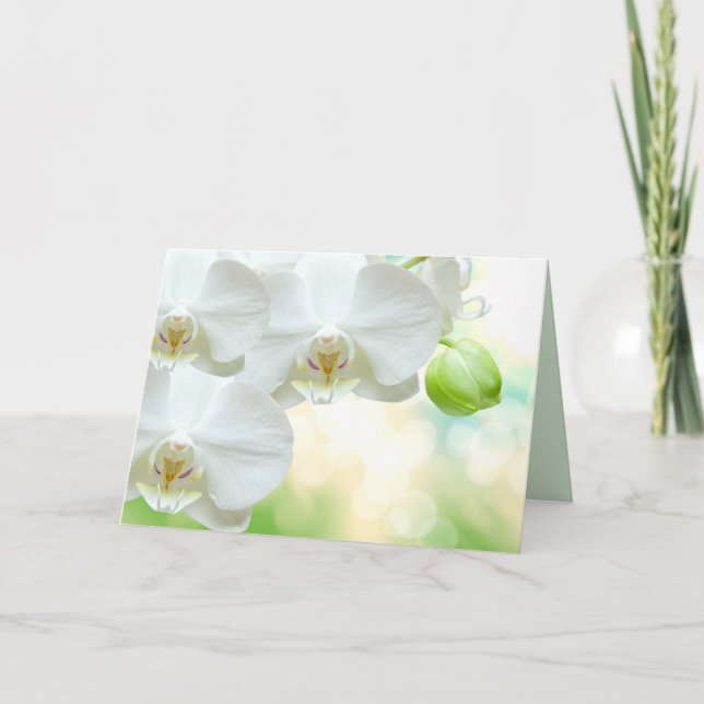 Greeting Card (Front)