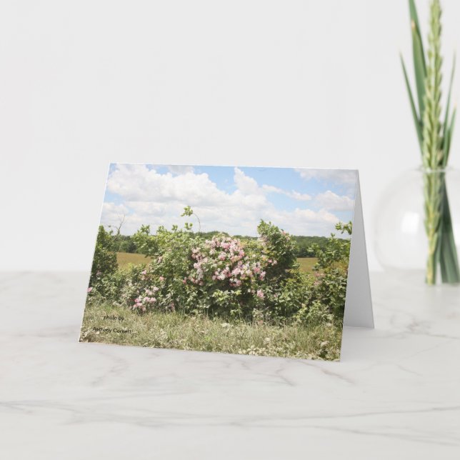 Greeting Card (Front)