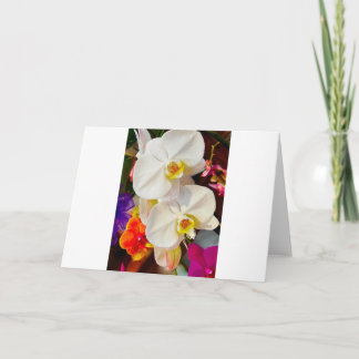 greeting card