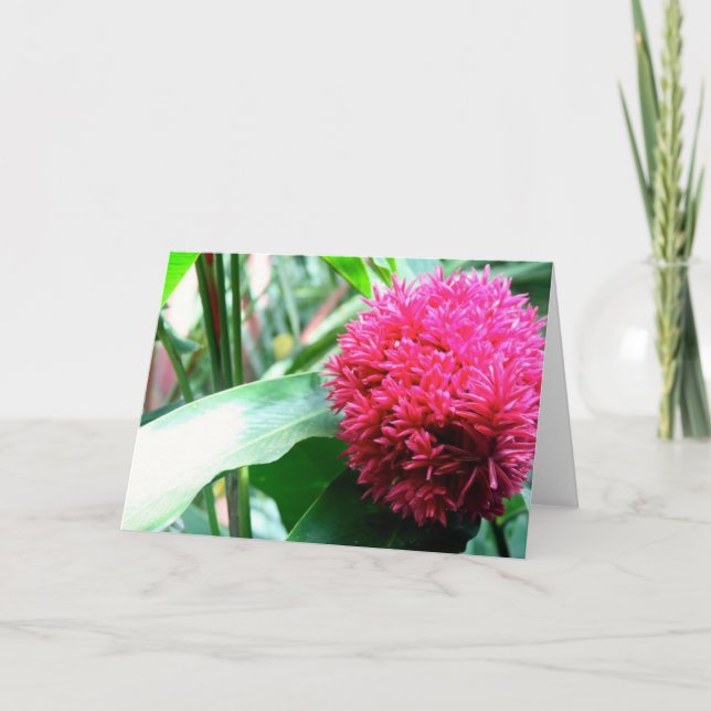 Greeting Card (Front)