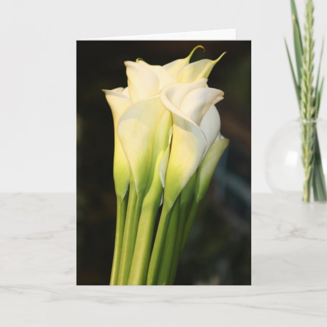 Greeting Card (Front)