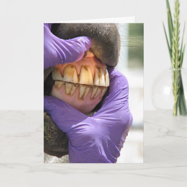 Greeting Card (Front)