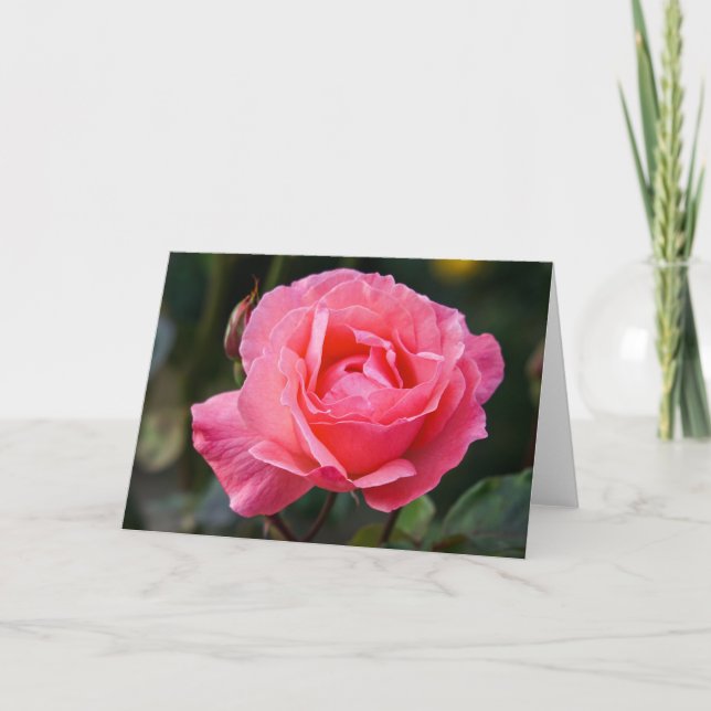 Greeting Card - A Rose for You from Puerto Montt (Front)