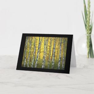 Greeting Card - Autumn Birch Trees, Acadia Forest