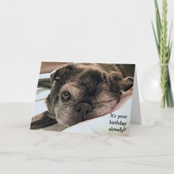 Greeting Card: Birthday Already? Card by TheBumblesnot at Zazzle