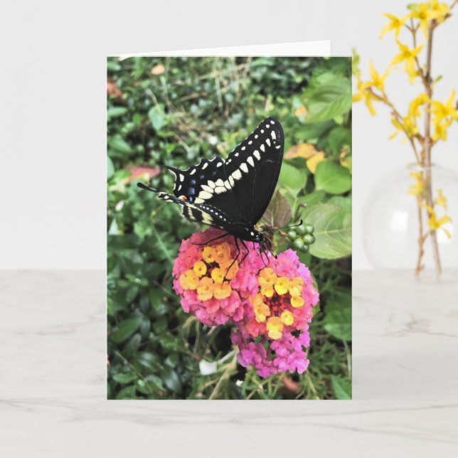 Greeting Card - Black Swallowtail on Lantana (Yellow Flower)