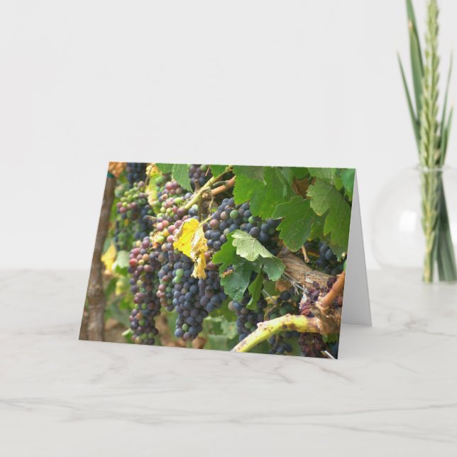 Greeting card, blank, with grapes card (Front)