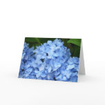 Greeting Card - Blue Hydrangea Greeting Card - Blue Hydrangea