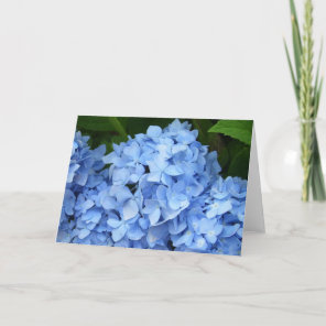 Greeting Card - Blue Hydrangea