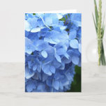 Greeting Card - Blue Hydrangea