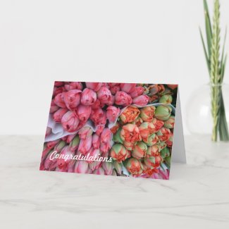 GREETING CARD Bunches of Tulips card