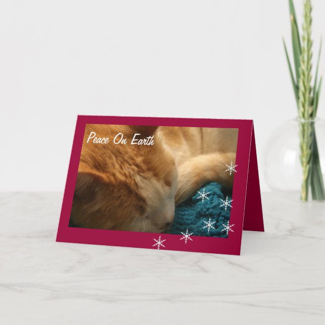 Greeting Card: Christmas Cat Nap Ephesians Holiday Card (Front)
