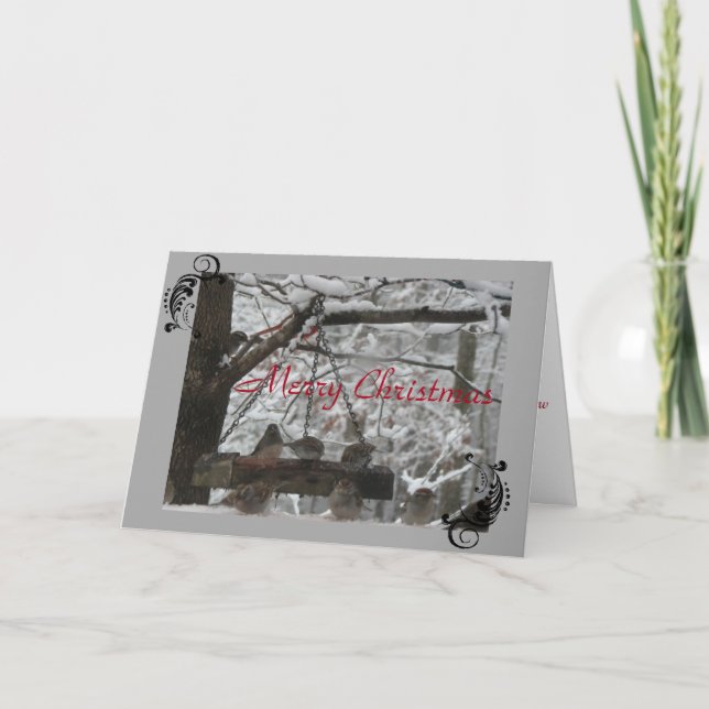 Greeting Card - Christmas - FeatheredFriends (Front)