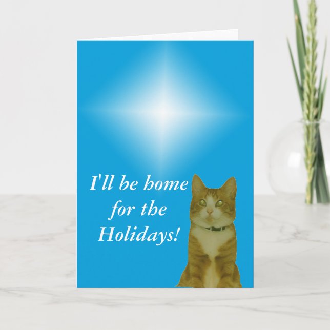 Greeting Card - Christmas Star and Cat (Front)