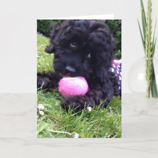 Greeting Card - Cockapoo Puppy (Front)
