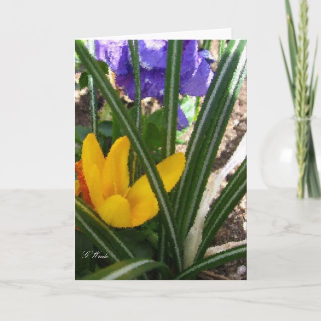 Greeting Card-Crocus and Pansies Card (Front)