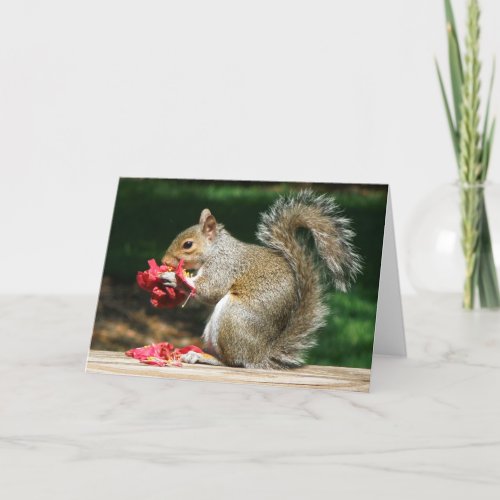 Greeting Card Cute Hungry Squirrel Eating Flower