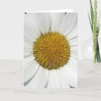 Greeting Card - Daisy