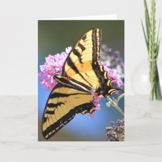 Greeting card featuring Yellow Butterfly