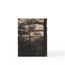 Greeting card Forest Nature Landscape