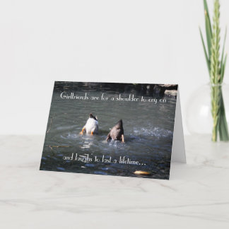 Greeting Card - Friendship Humor