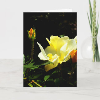 Greeting Card from the Nature Erotica Collection