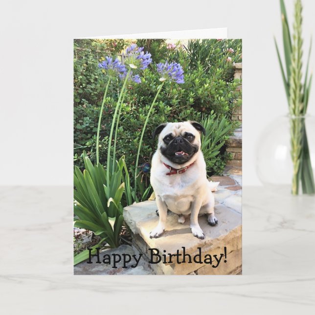 Greeting card: Happy Birthday! Card (Front)