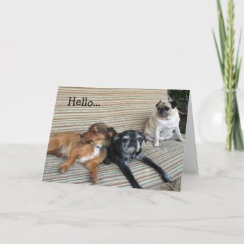 Greeting Card: Hello/wish You Were Here Card by TheBumblesnot at Zazzle