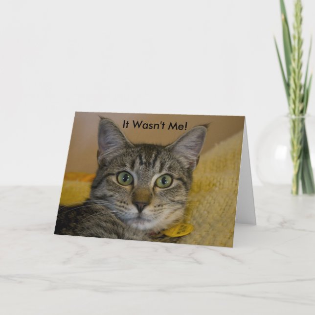 Greeting Card:  It Wasn't Me Cat 2 Card (Front)