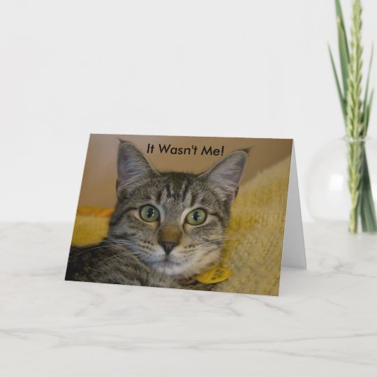 Greeting Card: It Wasn't Me Cat Card | Zazzle.com